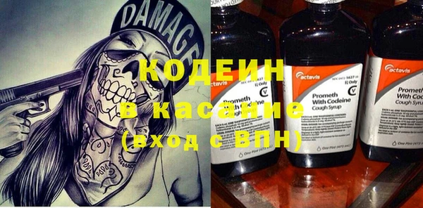 гашик Богданович
