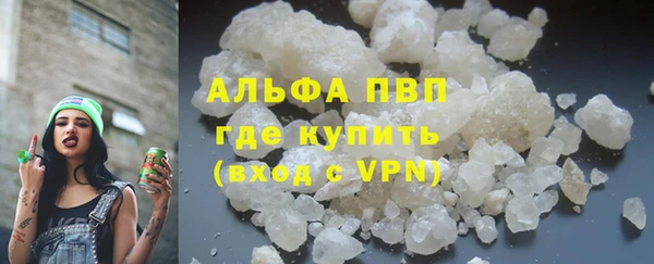 гашик Богданович