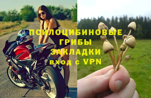 гашик Богданович