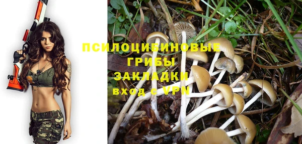 гашик Богданович