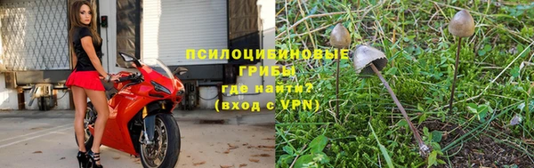 МДПВ Саяногорск