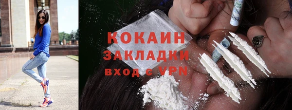 гашик Богданович