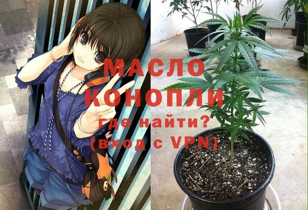 гашик Богданович